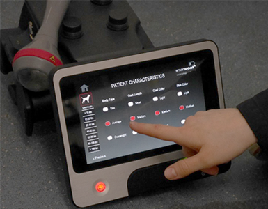 Laser therapy equipment